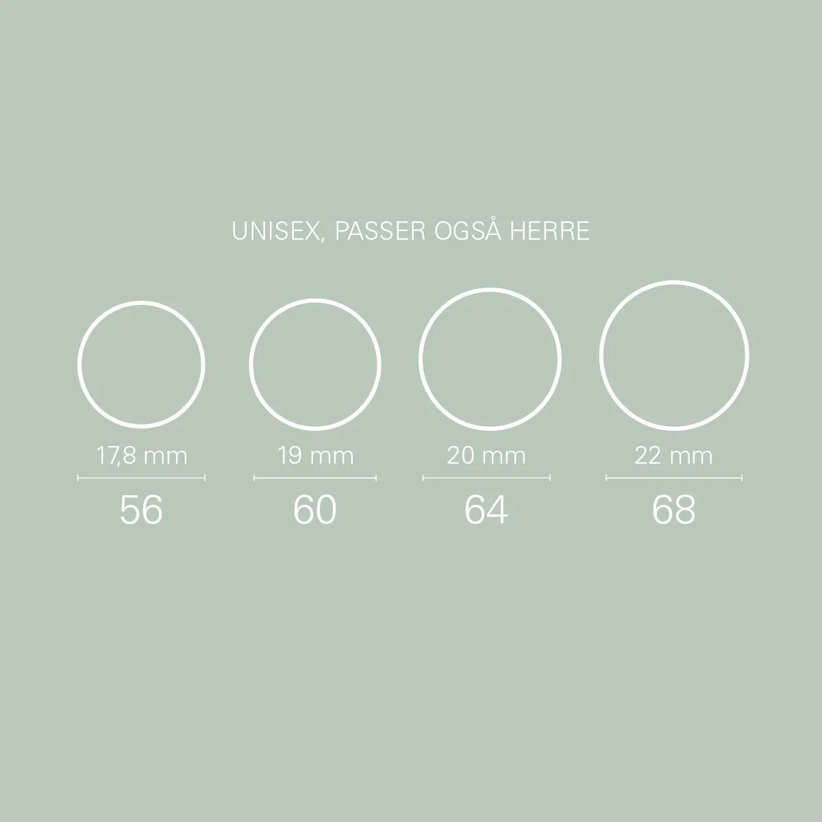 4046-0100 - Pure Steel Flat Ring Silver