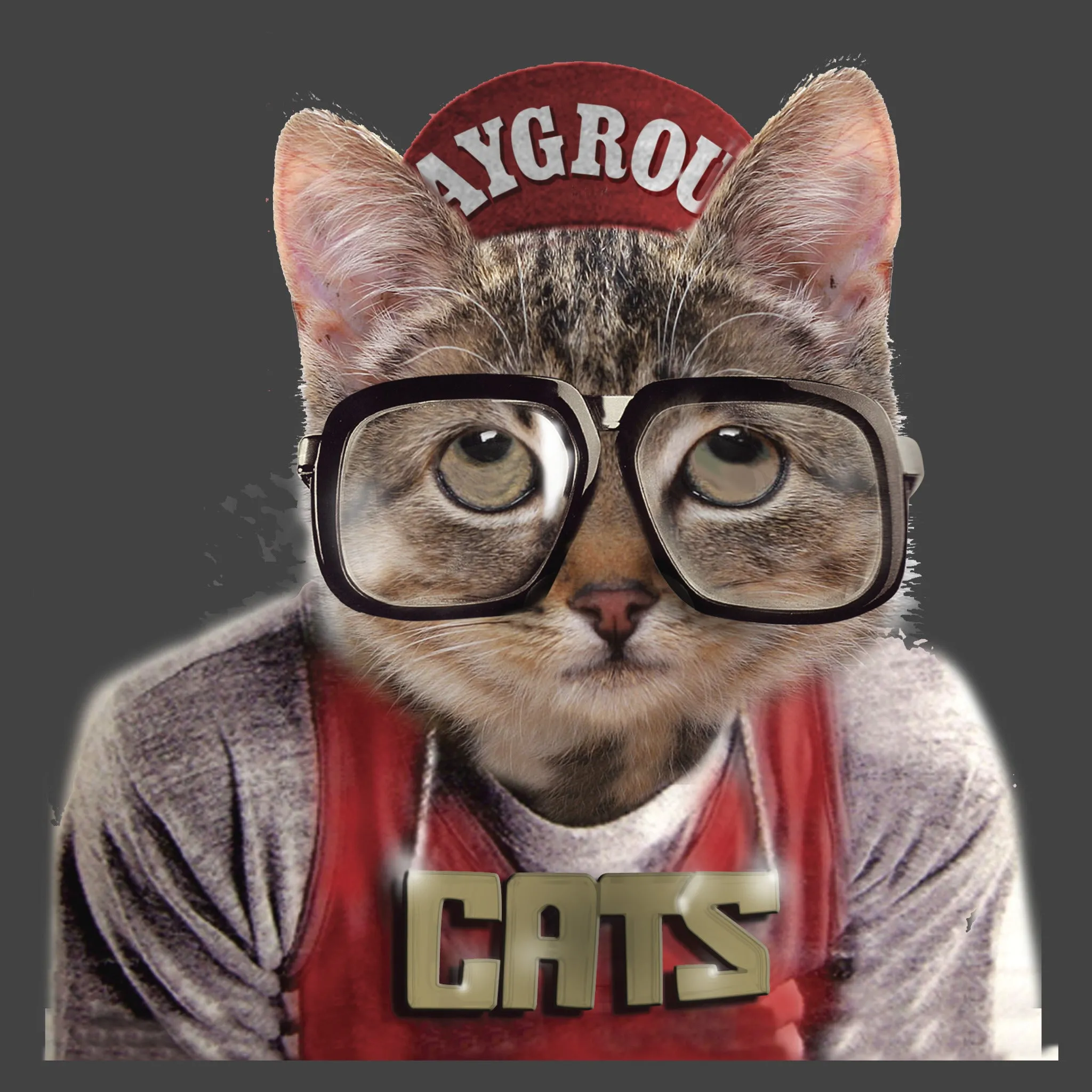 CAT FROM MARS MEN'S RINGER TEE