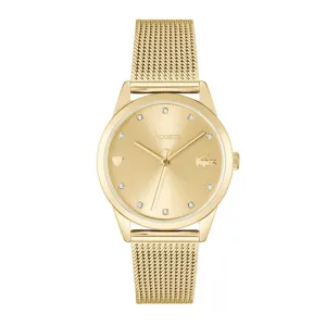 Staze Women Gold Quartz/Analog Watch