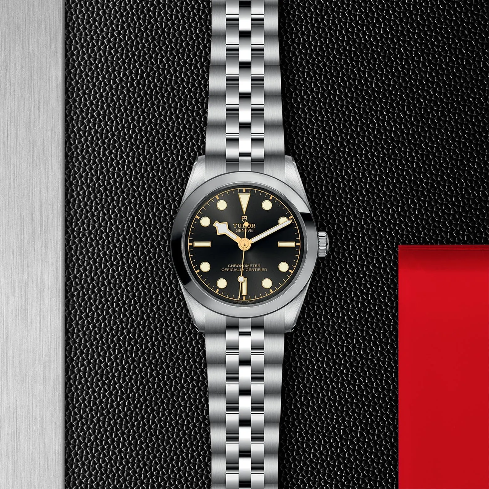 TUDOR Black Bay 31/36/39/41 31Mm Steel Case - M79600-0001