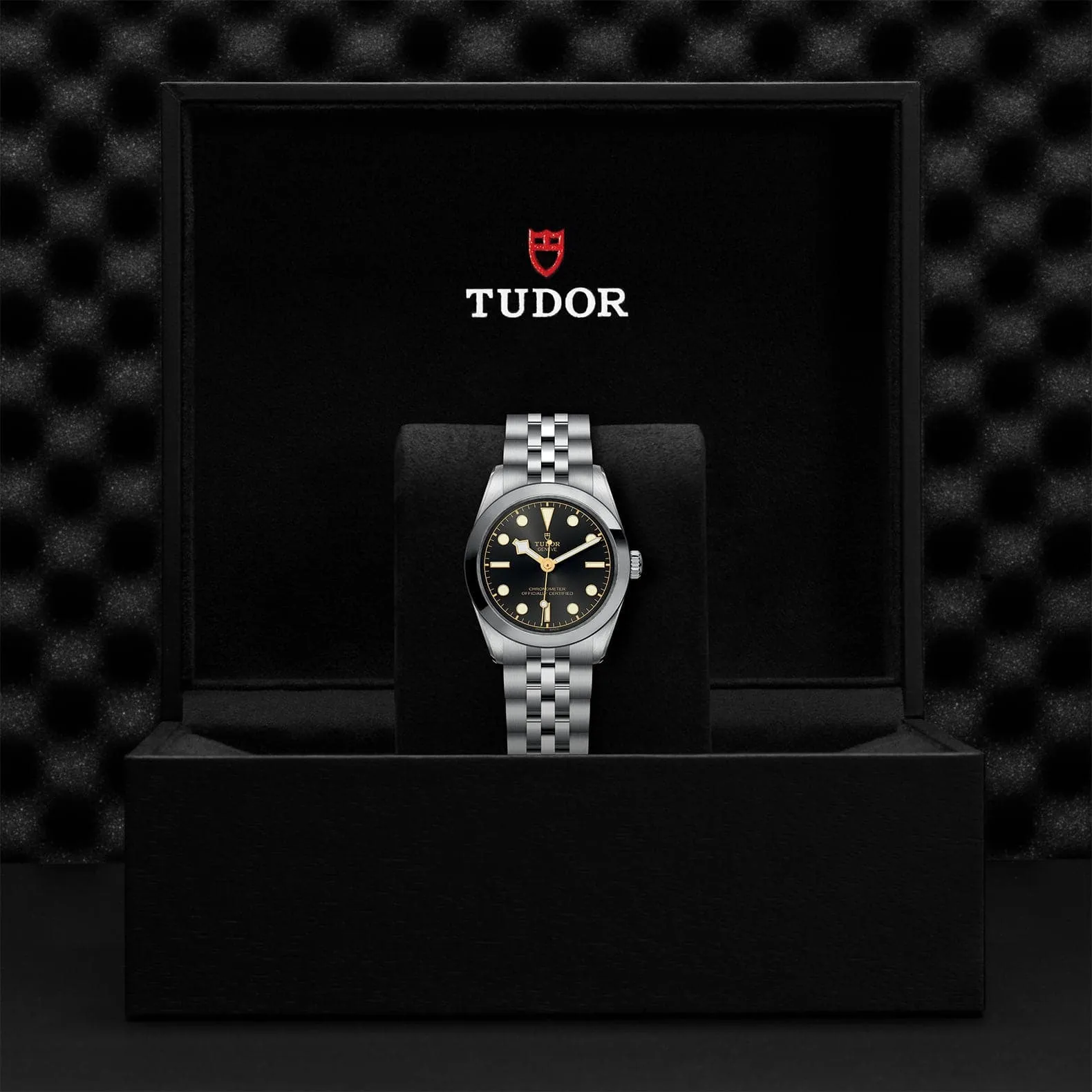 TUDOR Black Bay 31/36/39/41 31Mm Steel Case - M79600-0001