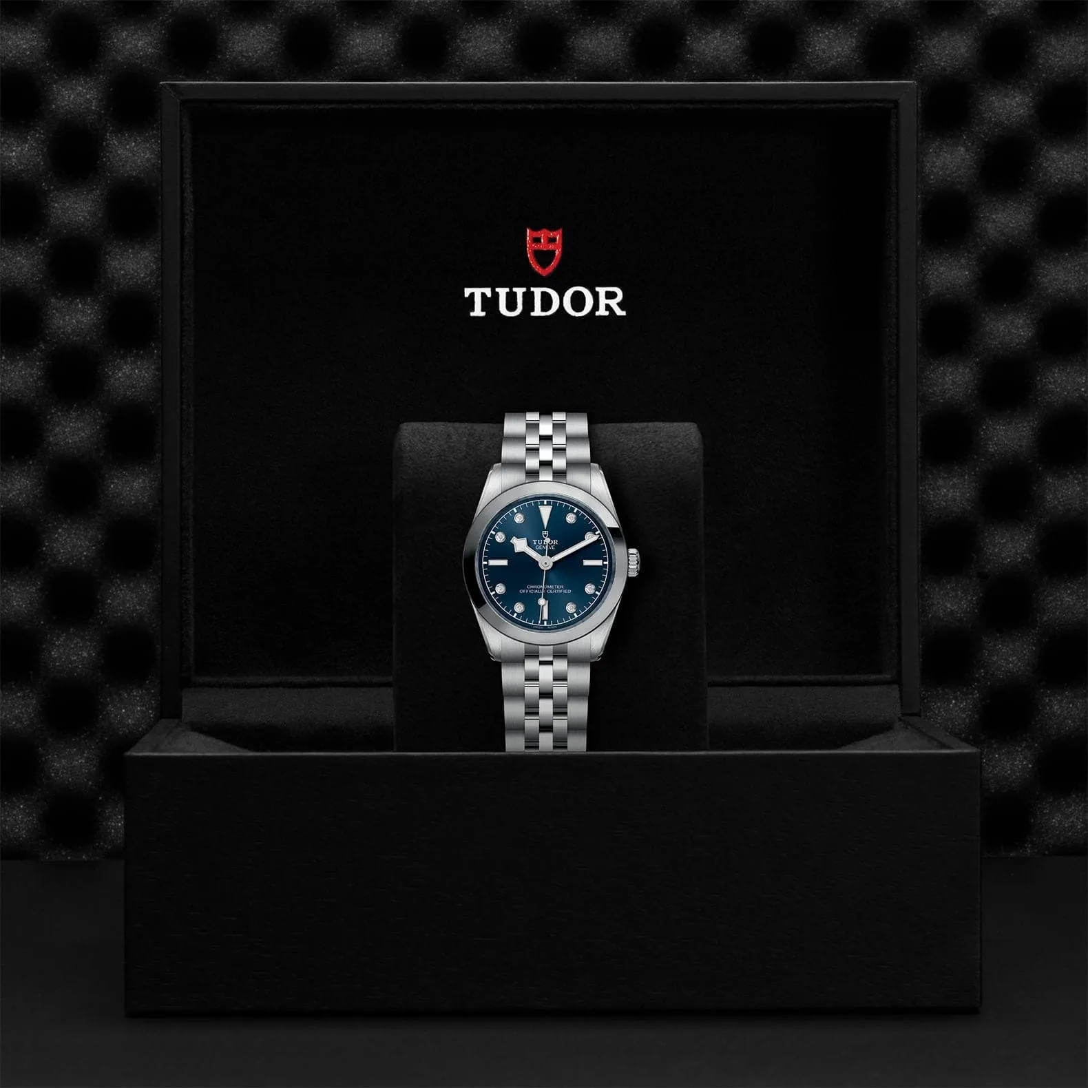 TUDOR Black Bay 31/36/39/41 31Mm Steel Case - M79600-0005