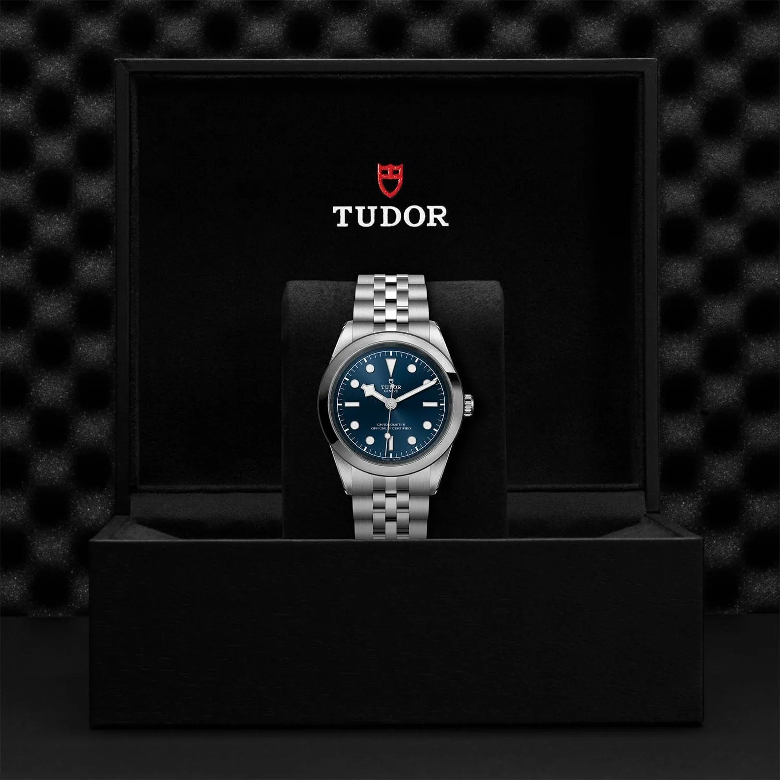 TUDOR Black Bay  41mm Steel Case Blue Dial - M79680-0002