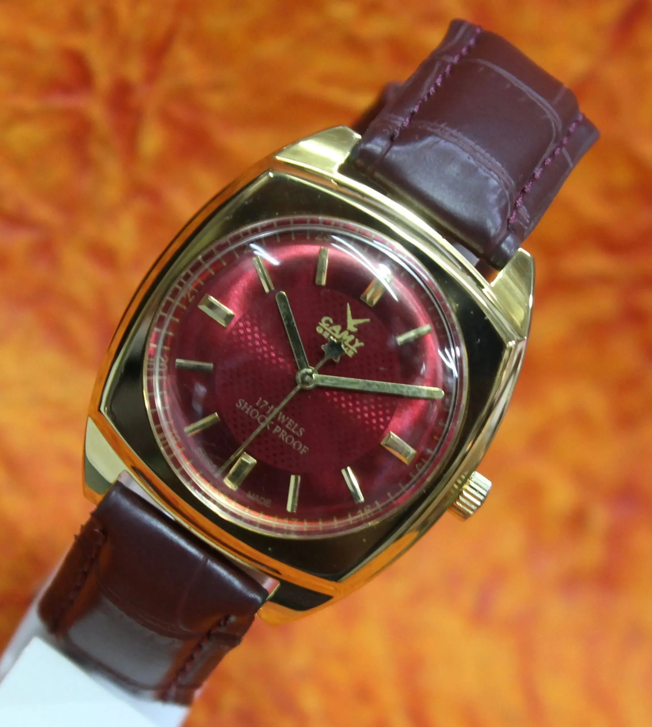 Vintage Mechanical Watch Camy Geneva 17 Jewels Mechanical FHF ST96 Hand Wind Swiss Made Movement
